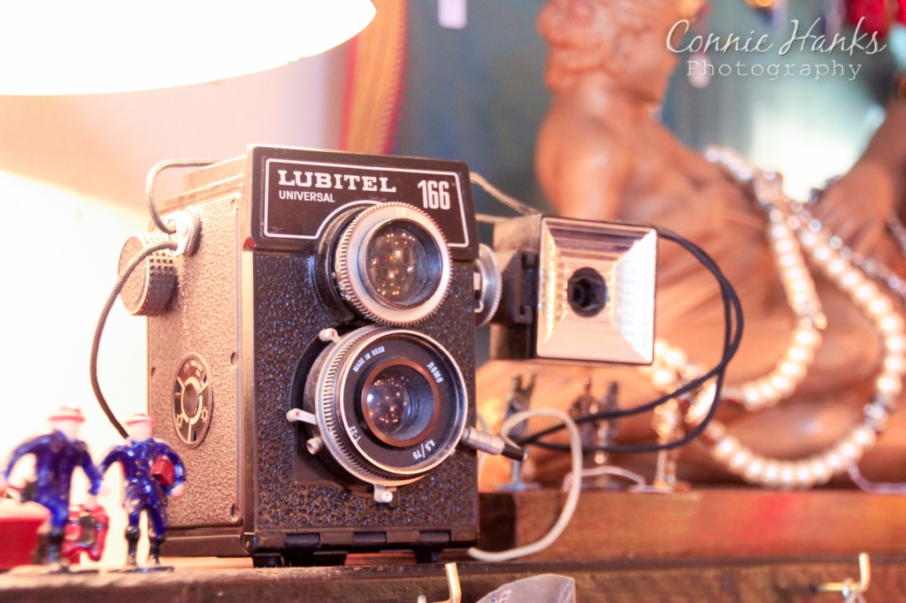Connie Hanks Photography // ClickyChickCreates.com // Paris Flea Market - Lubitel 166 camera