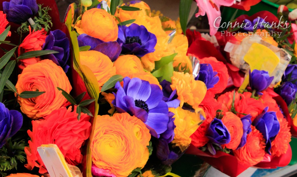 2013-03-14_2834-Edit_web