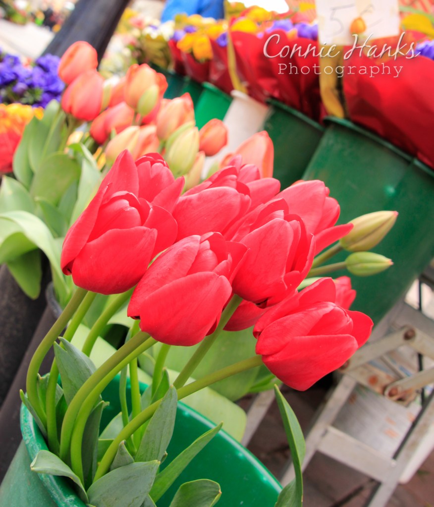 2013-03-14_2839-Edit_web