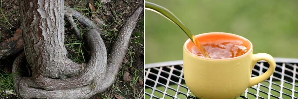 Weekly Photo Challenge:&nbsp;Change