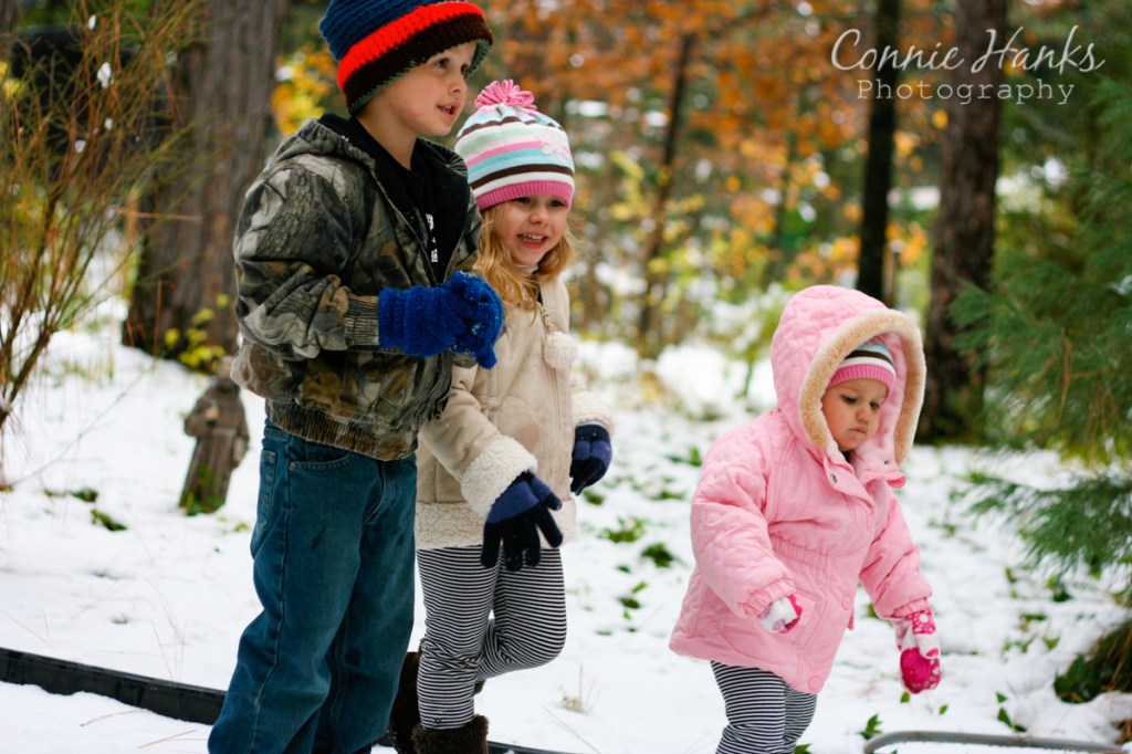Catching Snowflakes {Feeling&nbsp;Crafty}