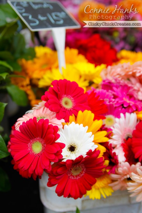 Connie Hanks Photography  //  ClickyChickCreates.com  //  fresh gerber daisy flowers at farmer's market