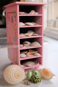 Connie Hanks Photography // ClickyChickCreates.com // sea shell collection in a jewelry box tower