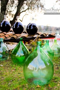 Connie Hanks Photography // ClickyChickCreates.com // winery in Cote d'Azur, old Roman way of making wine