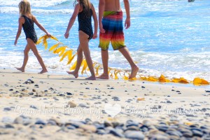 Connie Hanks Photography // ClickyChickCreates.com // kids dragging seaweed across Torrey Pines beach, pebble filled beach