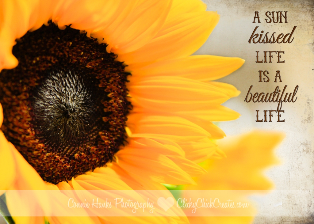 Connie Hanks Photography // ClickyChickCreates.com // sunflower and quote, with Kim Klassen textures