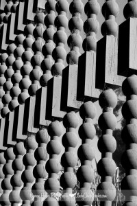 Connie Hanks Photography // ClickyChickCreates // Balboa Park Botanical Building