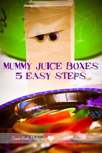 Connie Hanks Photography // ClickyChickCreates.com // Mummy Juice Boxes in 5 easy steps - perfect party drinks for pre-schoolers and young elementary aged kids