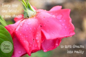 Connie Hanks Photography // ClickyChickCreates.com // pink rose with quote "every new day brings a new chance to turn dreams into reality"