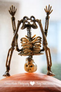 Connie Hanks // ClickyChickCreates.com // yoga skeleton balancing on a mini pumpkin!