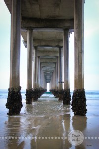 Connie Hanks Photography // ClickyChickCreates.com // Scripps Pier