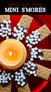 Connie Hanks Photography // ClickyChickCreates.com // mini s'mores, marshmallows, mallow bits, graham crackers, melted chocolate, treats