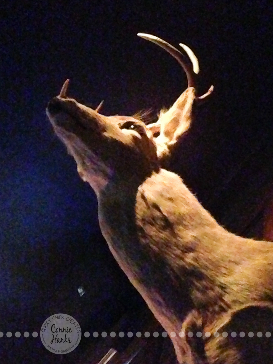 Connie Hanks Photography // ClickyChickCreates.com // Inside San Diego lounge bars