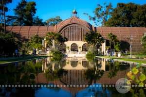 Connie Hanks Photography // ClickyChickCreates.com // Reflections from Balboa Park