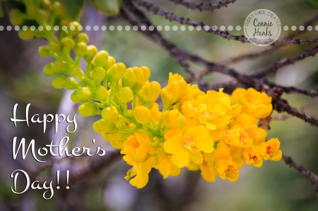 Happy Mother’s Day!