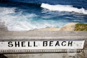 Connie Hanks Photography // ClickyChickCreates.com // La Jolla, beach, photography, San Diego, cove, morning, waves, crashing, shell