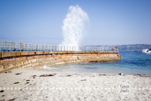 Connie Hanks Photography // ClickyChickCreates.com // La Jolla, beach, photography, San Diego, cove, morning, waves, crashing