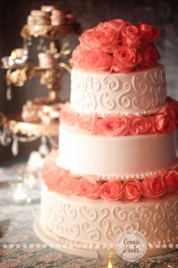 Connie Hanks Photography // ClickyChickCreates.com // Baja wedding, pink, turquoise, head wreath, cake, roses, lanterns, toast, kids, flower girls, ring bearers,