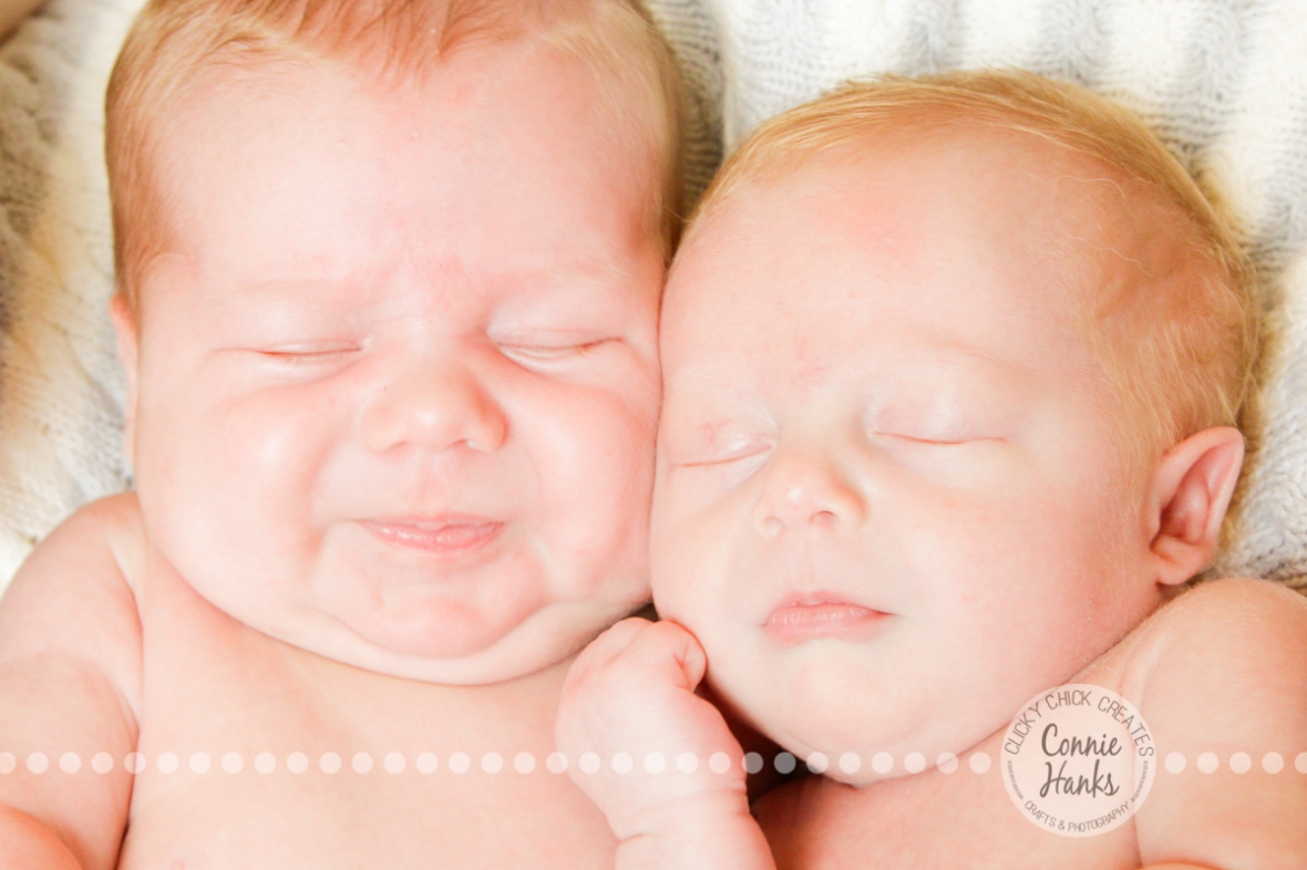 Connie Hanks Photography // ClickyChickCreates.com // One month old twin boys