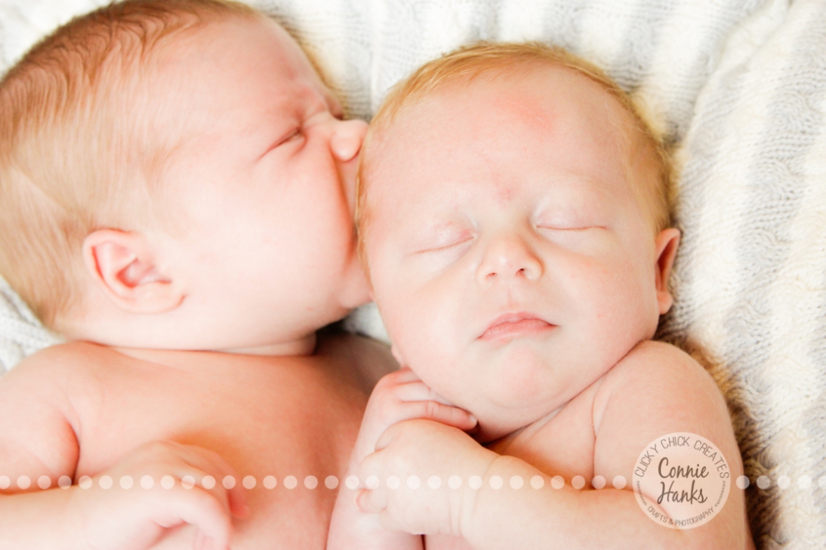 Connie Hanks Photography // ClickyChickCreates.com // One month old twin boys