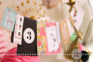 Connie Hanks Photography // ClickyChickCreates.com // CHA 2015 faves