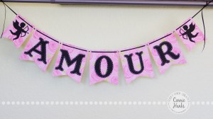 Connie Hanks Photography // ClickyChickCreates.com // Valentine Banner, Etsy, heart, cupid, xoxo, be mine, amour, amor, amore, kisses, love, fall in love