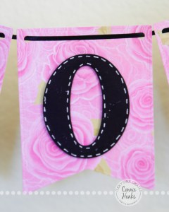 Connie Hanks Photography // ClickyChickCreates.com // Valentine Banner, Etsy, heart, cupid, xoxo, be mine, amour, amor, amore, kisses, love, fall in love
