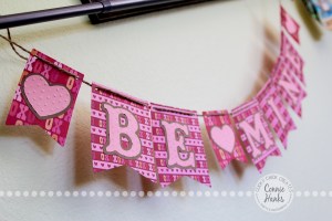 Connie Hanks Photography // ClickyChickCreates.com // Valentine Banner, Etsy, heart, cupid, xoxo, be mine, amour, amor, amore, kisses, love, fall in love