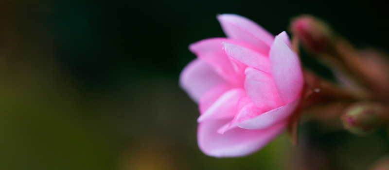 10 on 10 – April // My March&nbsp;Madness