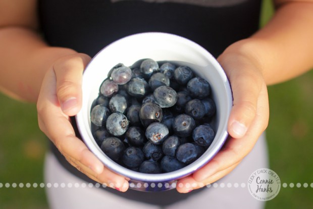 Connie Hanks Photography // ClickyChickCreates.com // bowl of blueberries