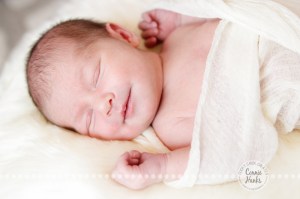Connie Hanks Photography // ClickyChickCreates.com // baby girl, newborn photo session - sleeping baby, pearls, roses, head wreath, basket