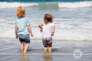 Connie Hanks Photography // ClickyChickCreates.com // San Diego family photo session, beach family photos, multi-generational, extended family, large family