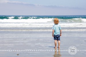 Connie Hanks Photography // ClickyChickCreates.com // San Diego family photo session, beach family photos, multi-generational, extended family, large family