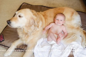Connie Hanks Photography // ClickyChickCreates.com // San Diego newborn photography, family photo session, family photography, baby boy