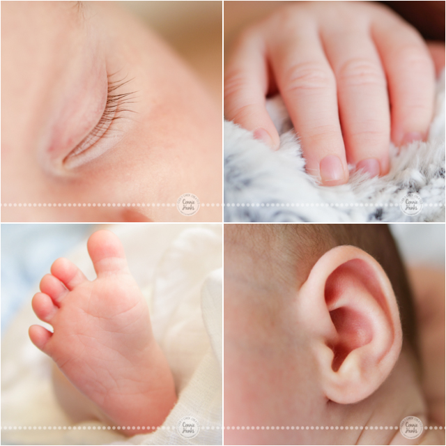 Connie Hanks Photography // ClickyChickCreates.com // San Diego newborn photography, family photo session, family photography, baby boy