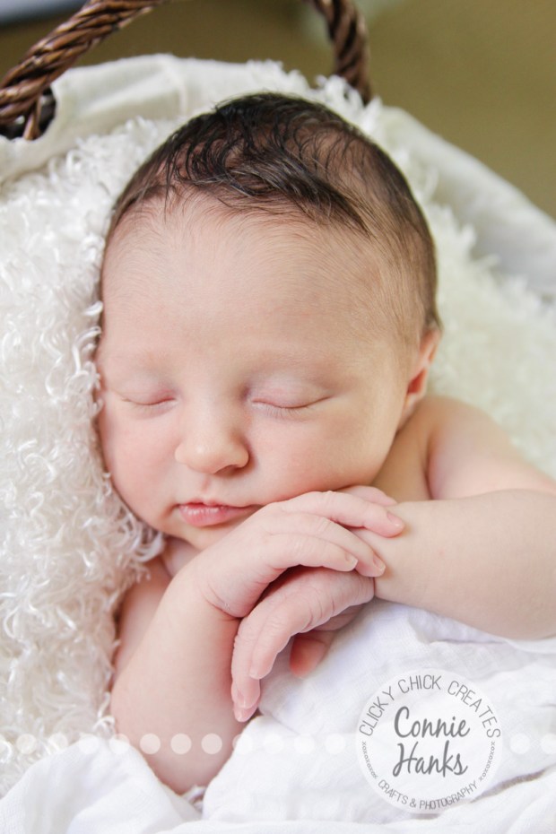 Connie Hanks Photography // ClickyChickCreates.com // San Diego newborn photography, family photo session, family photography, baby girl