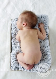 Connie Hanks Photography // ClickyChickCreates.com // San Diego newborn photography, family photo session, family photography, baby boy