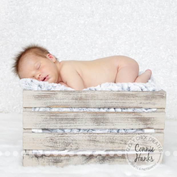 Connie Hanks Photography // ClickyChickCreates.com // San Diego newborn photography, family photo session, family photography, baby boy