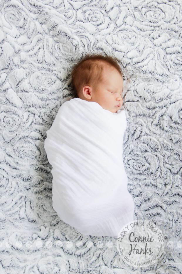 Connie Hanks Photography // ClickyChickCreates.com // San Diego newborn photography, family photo session, family photography, baby boy