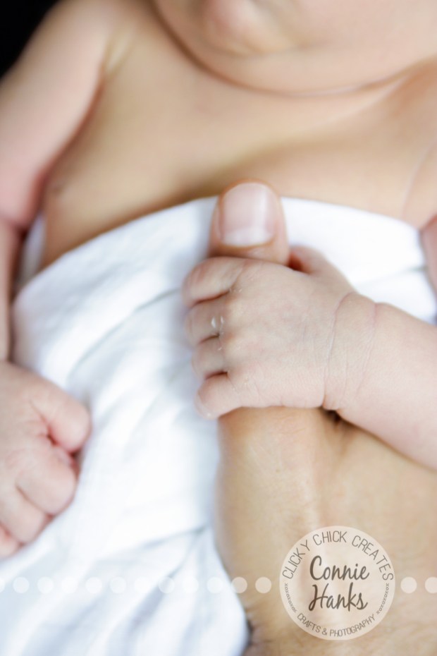 Connie Hanks Photography // ClickyChickCreates.com // San Diego newborn photography, family photo session, family photography, baby boy