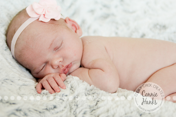 Connie Hanks Photography // ClickyChickCreates.com // newborn, San Diego newborn photography, family photo session, family photography, baby girl, sisters