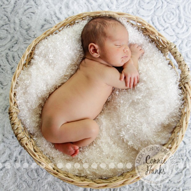 Connie Hanks Photography // ClickyChickCreates.com // newborn, San Diego newborn photography, family photo session, family photography, baby boy, siblings, multi-generational