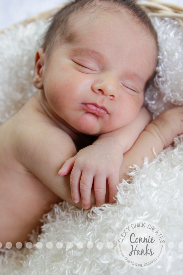 Connie Hanks Photography // ClickyChickCreates.com // newborn, San Diego newborn photography, family photo session, family photography, baby boy, siblings, multi-generational