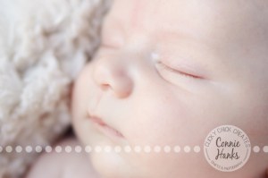 Connie Hanks Photography // ClickyChickCreates.com // newborn, San Diego newborn photography, family photo session, family photography, baby boy, siblings, brothers