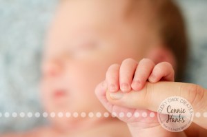 Connie Hanks Photography // ClickyChickCreates.com // newborn, baby photos, San Diego newborn photography, family photo session, family photography, baby boy, family