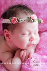 Connie Hanks Photography // ClickyChickCreates.com // newborn, baby photos, San Diego newborn photography, family photo session, family photography, baby girl, newborn girl, family, multi-generation family, extended family