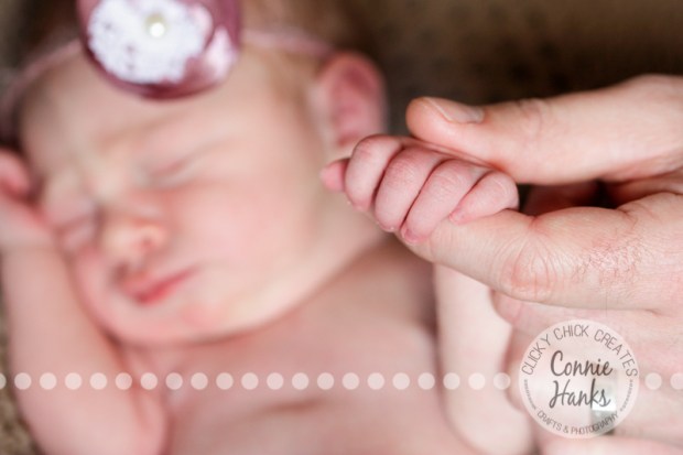 Connie Hanks Photography // ClickyChickCreates.com // newborn, baby photos, San Diego newborn photography, family photo session, family photography, baby girl, family