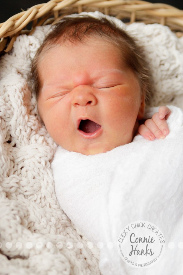 Connie Hanks Photography // ClickyChickCreates.com // newborn, baby photos, San Diego newborn photography, family photo session, family photography, baby girl, family