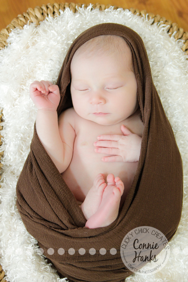 Connie Hanks Photography // ClickyChickCreates.com // newborn photography, baby photos, newborn girl, San Diego newborn photography, family photo session, family photography, baby girl, family