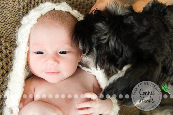 Connie Hanks Photography // ClickyChickCreates.com // newborn photography, baby photos, newborn girl, San Diego newborn photography, family photo session, family photography, baby girl, family